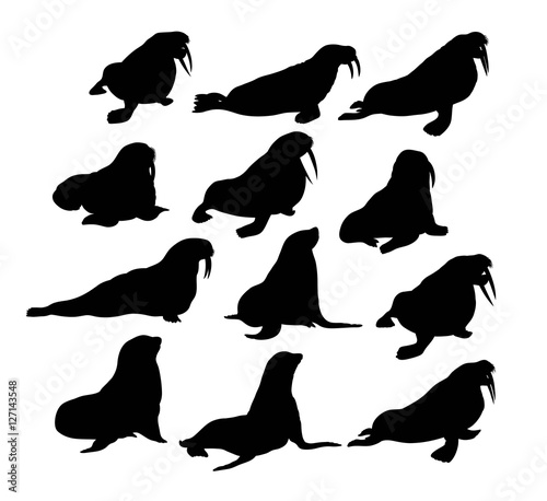 Walrus Silhouettes, art vector design