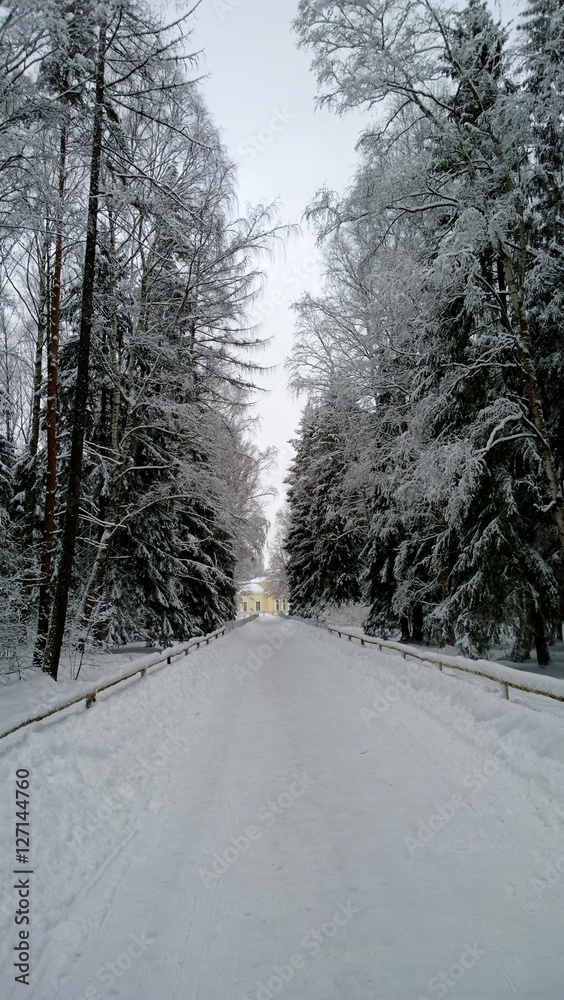 Snow covered alley in a winter cold day