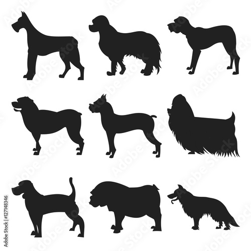 Set of dogs black silhouette