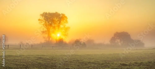foggy, sunny morning in the countryside photo
