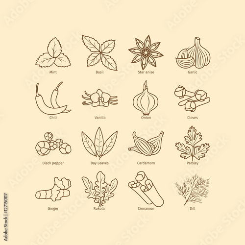 Condiments and spices line icons set on vintage background. Vector illustration