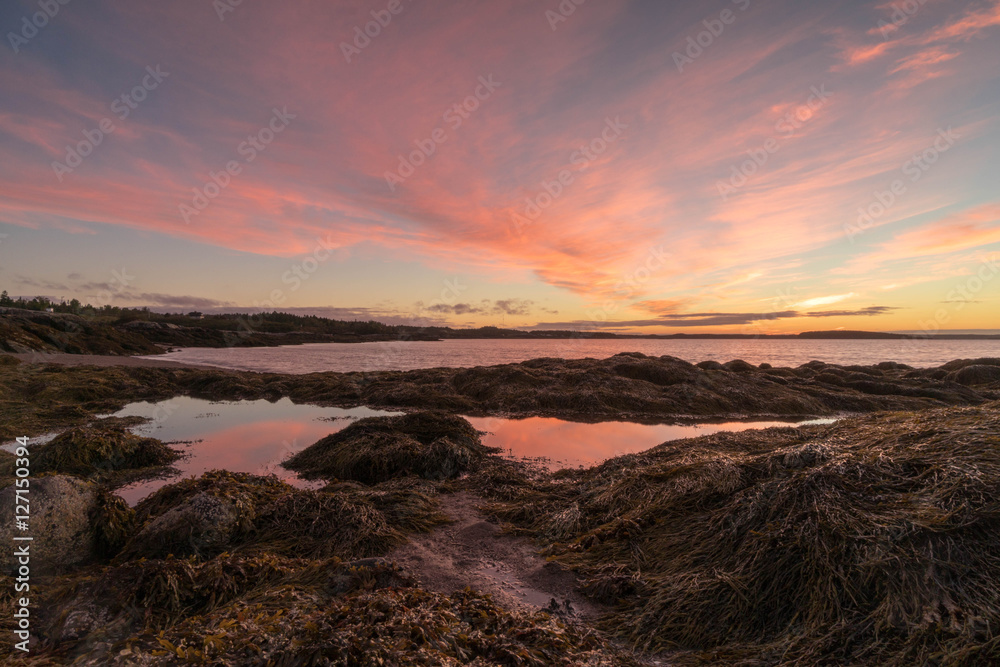 Fototapeta premium the Bay of Fundy near Pocologan in New Brunswick, Canada, at sunrise with tidal pools in the foreground