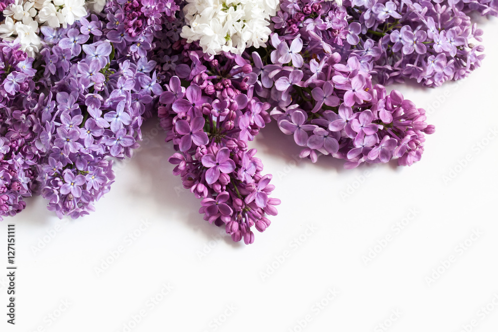 Floral wallpaper, beautiful lilac flowers bouquet for greeting cards, decoration