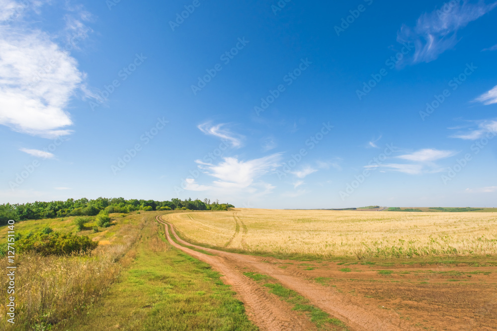 Country road through the field and the beautiful blue sky, background Country road through the field and the beautiful blue sky, background