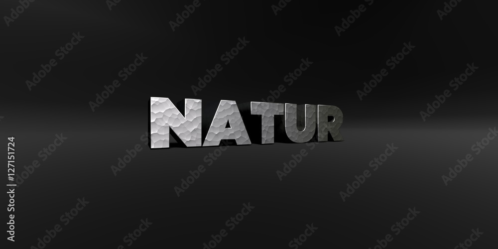 NATUR - hammered metal finish text on black studio - 3D rendered royalty free stock photo. This image can be used for an online website banner ad or a print postcard.