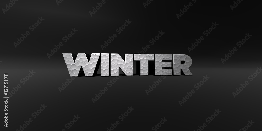 WINTER - hammered metal finish text on black studio - 3D rendered royalty free stock photo. This image can be used for an online website banner ad or a print postcard.