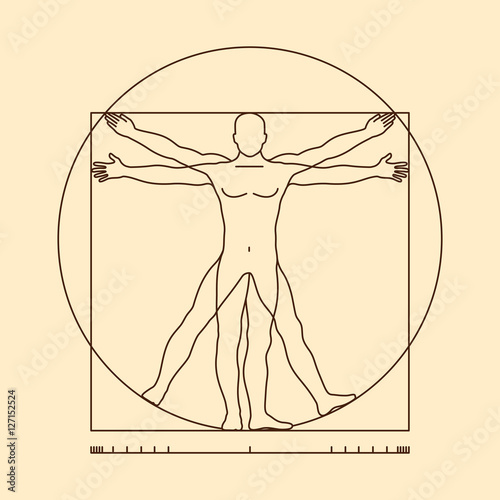 Leonardo da vinci vitruvian man vector illustration photo