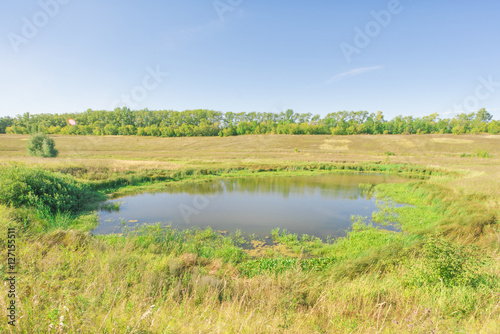 Round Lake in the yellow field