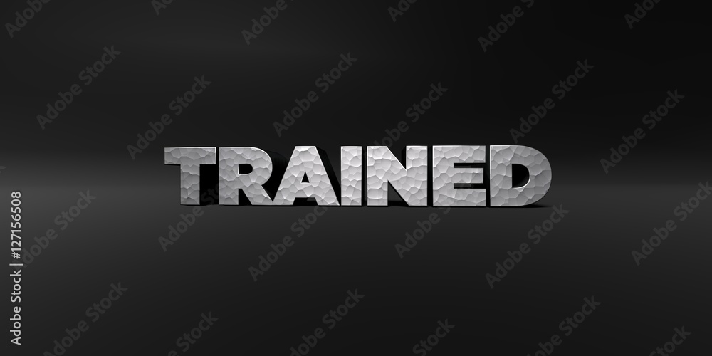 TRAINED - hammered metal finish text on black studio - 3D rendered royalty free stock photo. This image can be used for an online website banner ad or a print postcard.