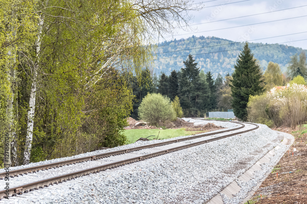 Fototapeta premium Finished railway track between trees