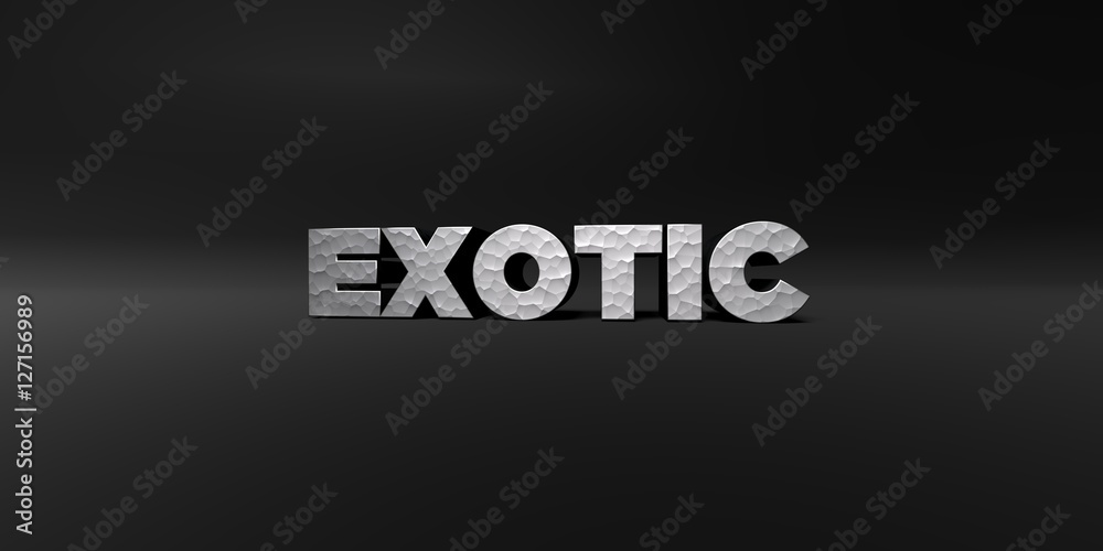 EXOTIC - hammered metal finish text on black studio - 3D rendered royalty free stock photo. This image can be used for an online website banner ad or a print postcard.