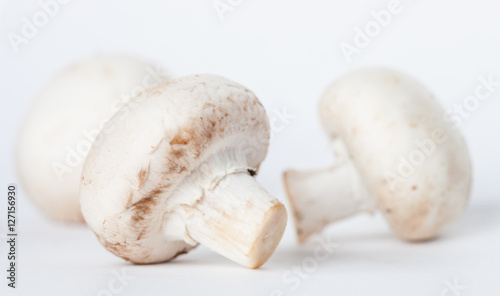 White mushrooms on neutral background