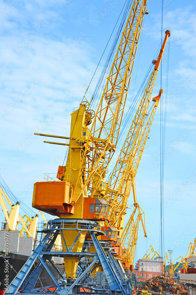 Port cargo crane