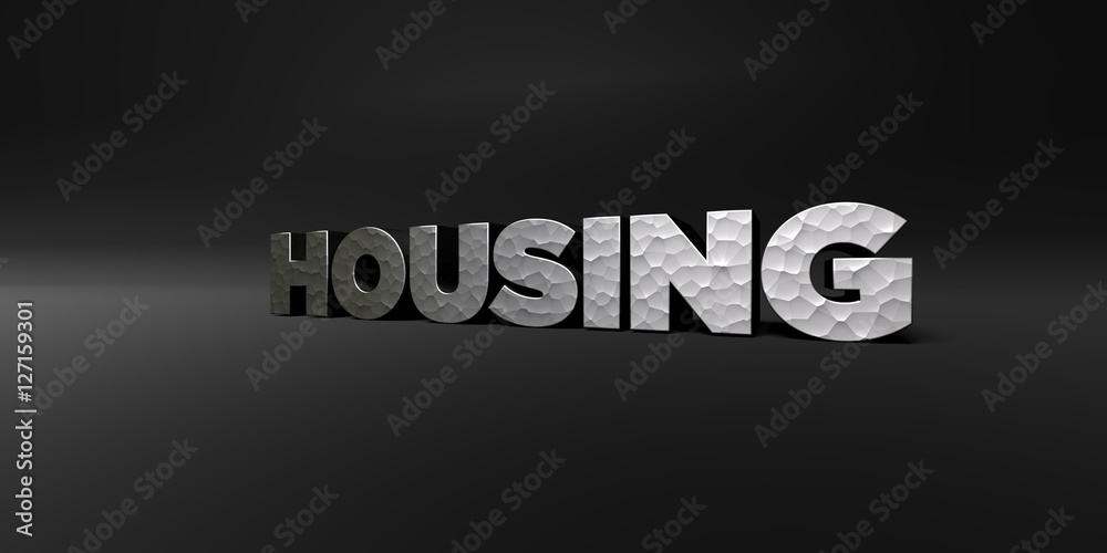Obraz premium HOUSING - hammered metal finish text on black studio - 3D rendered royalty free stock photo. This image can be used for an online website banner ad or a print postcard.