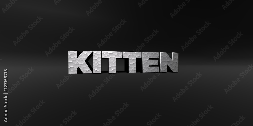 KITTEN - hammered metal finish text on black studio - 3D rendered royalty free stock photo. This image can be used for an online website banner ad or a print postcard.