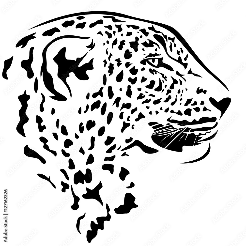 Leopard Face Outline