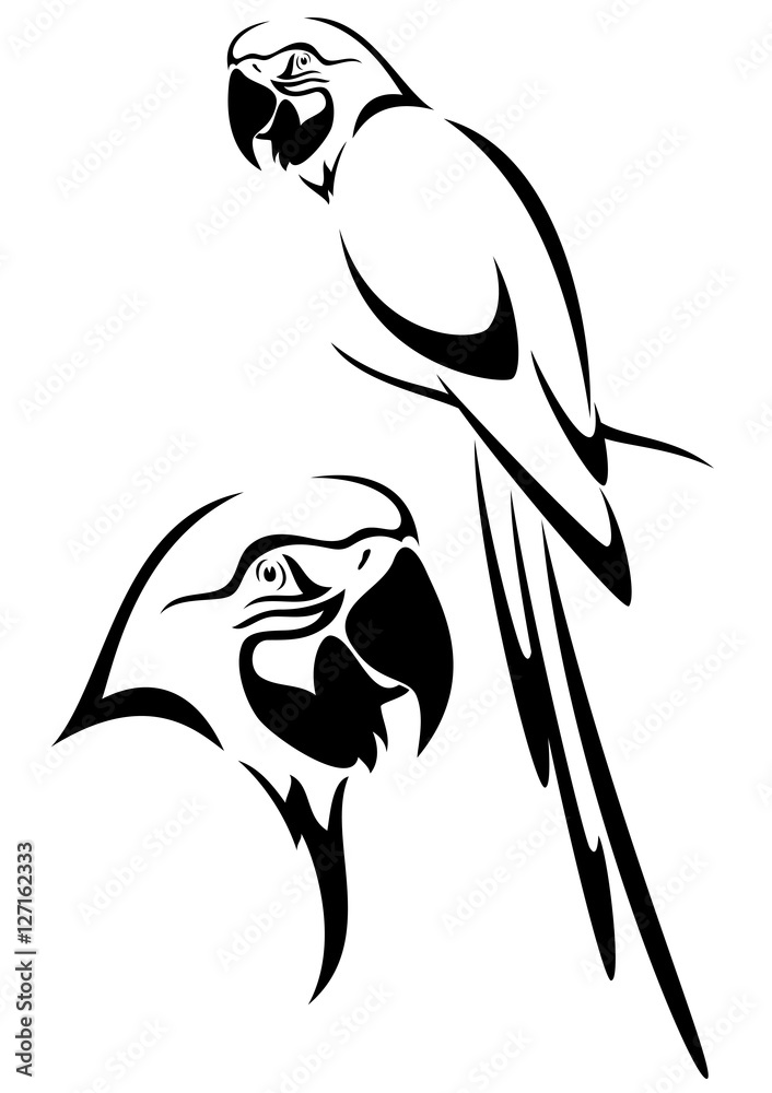 Fototapeta premium papuga ptak wektor czarno-biały zarys