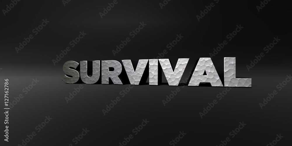 SURVIVAL - hammered metal finish text on black studio - 3D rendered royalty free stock photo. This image can be used for an online website banner ad or a print postcard.