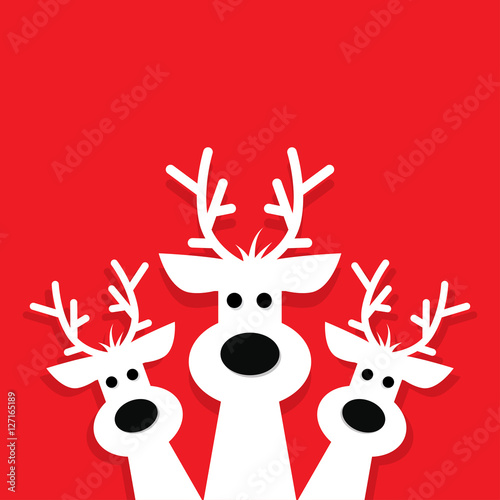 three white reindeer on a red background.