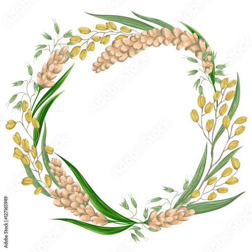 Wreath with rice,oat and millet. Cereals set. Collection decorative floral design elements. Vintage vector illustration in watercolor style.