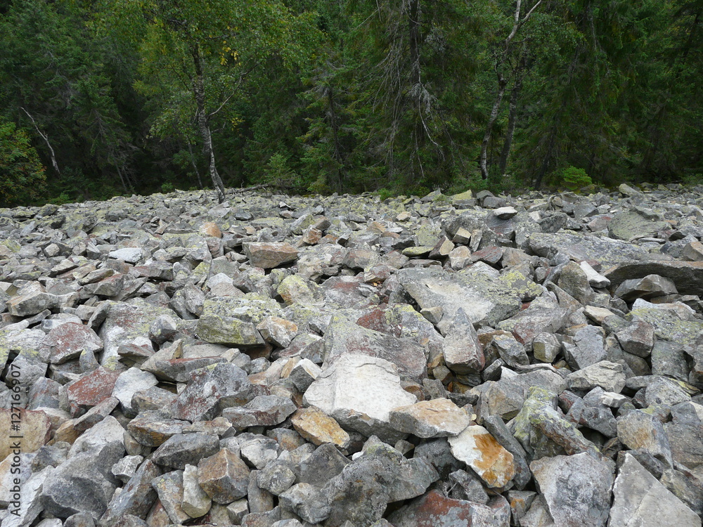 hillside  with  stones