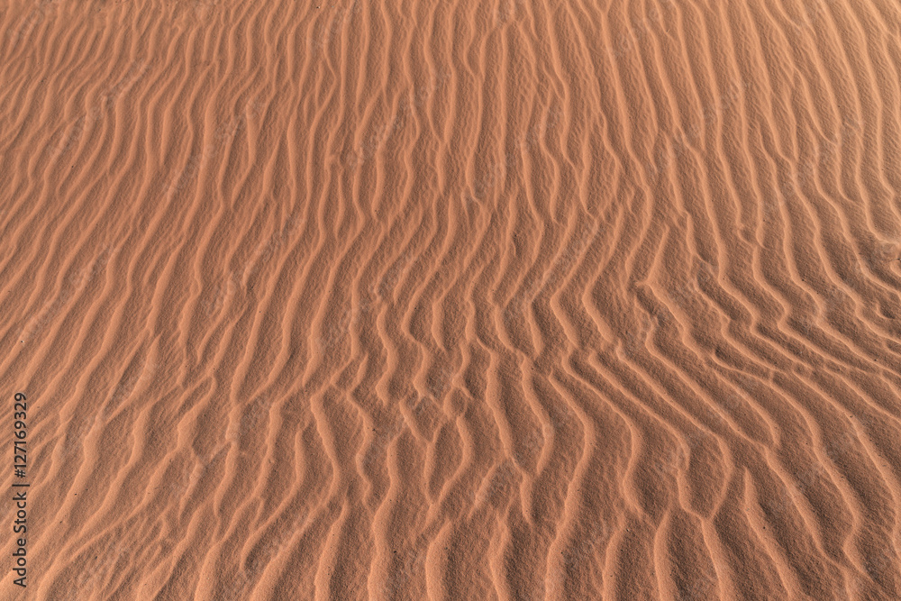 Desert sand texture asia windy summer background Desert sand texture asia windy summer background