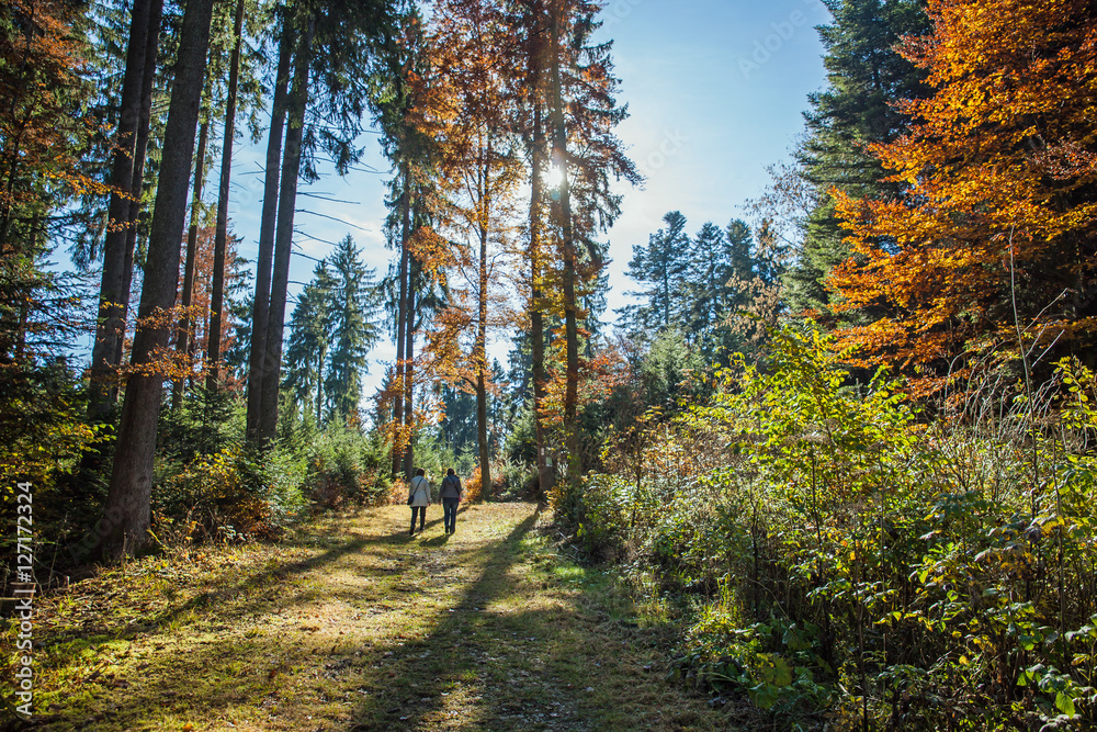Fototapeta premium 2 Spaziergänger in einem bunten Herbstwald