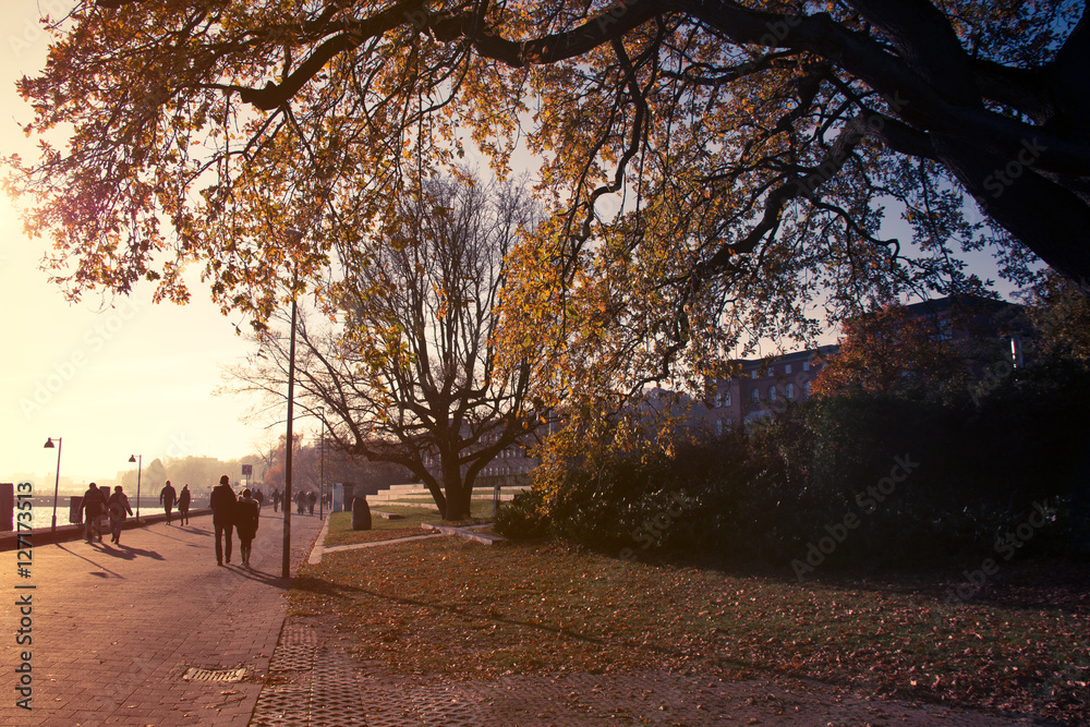 Fototapeta premium Herbst