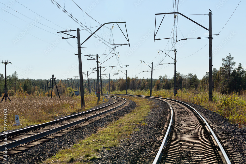 Railway in northern autumn forest
