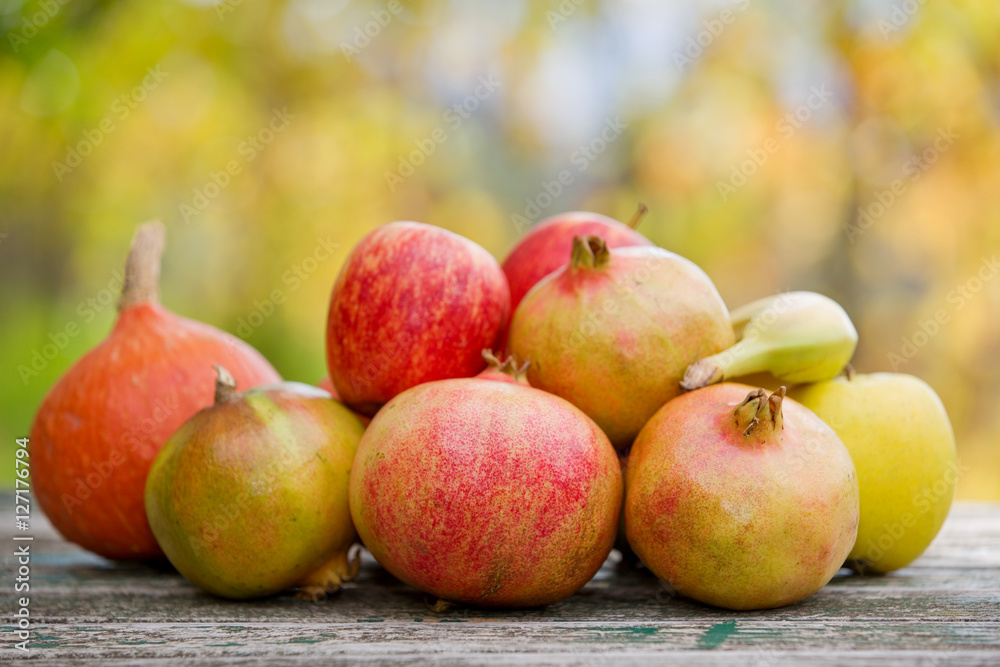 autumn fruits autumn fruits