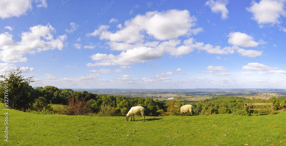 Obraz premium cotswold landscape uk