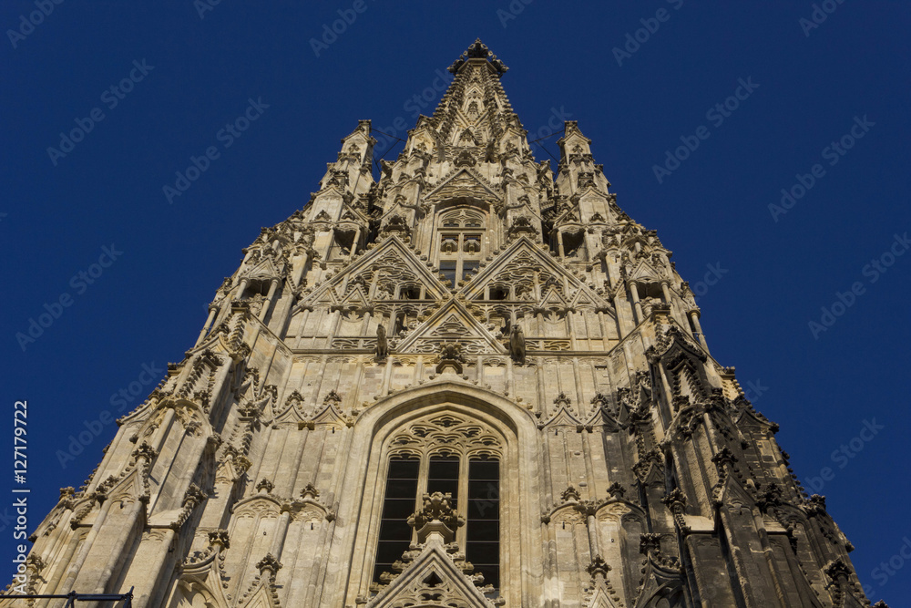 Tower close up of Stephandson cathedral in Vienna, Austria