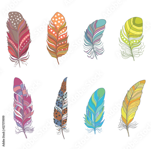 Set of Colorful Decorative Bird Feather for Boho Style. Vector. © vectorgirl