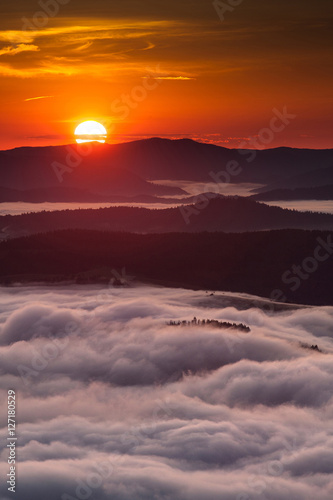 Summer weather phenomenon. Seasonal landscape with morning fog in valley. Clouds drenched valley below the level of the mountains. Sunrise over creeping clouds. © Sodel Vladyslav