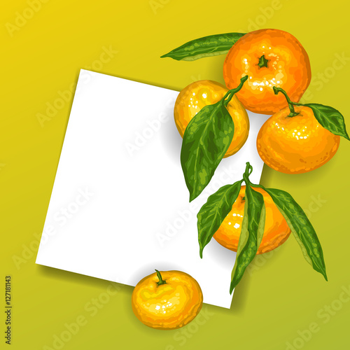 Background with mandarins. Tropical fruits and leaves