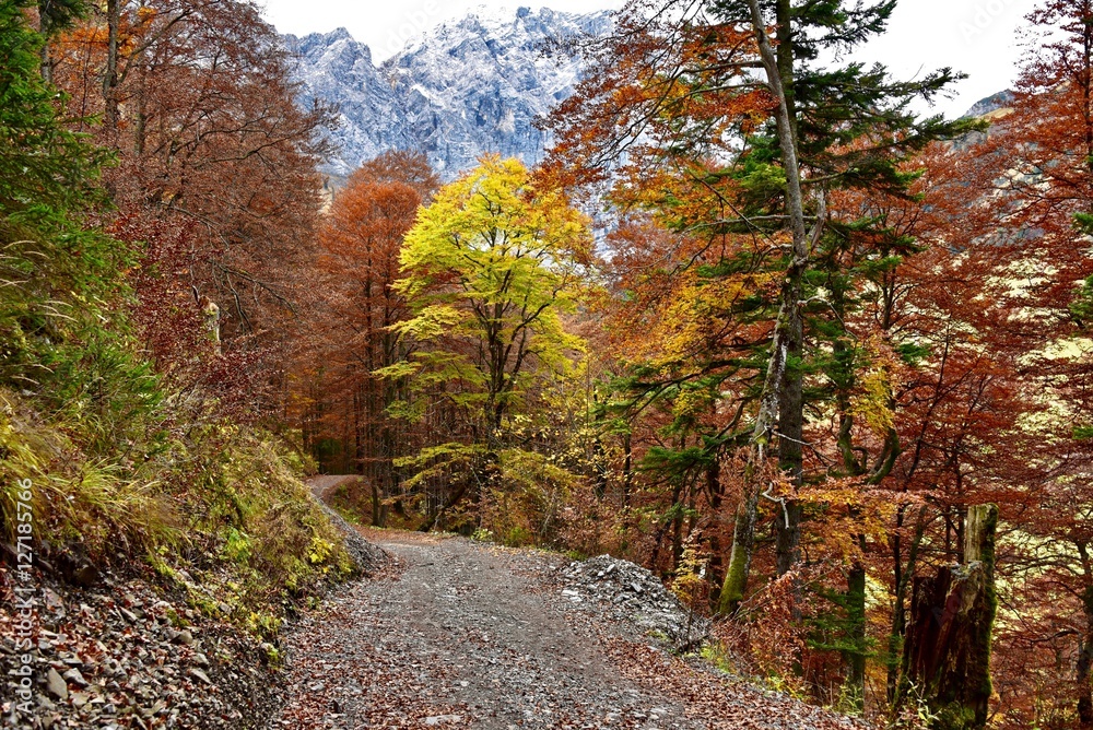 Fototapeta premium Panoramaweg zur Binsalm in Hinterriss-Eng