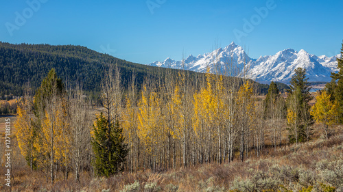 Scenic autumn mountains. Golden autumn forest. Grand Teton National Park, Wyoming, USA © khomlyak