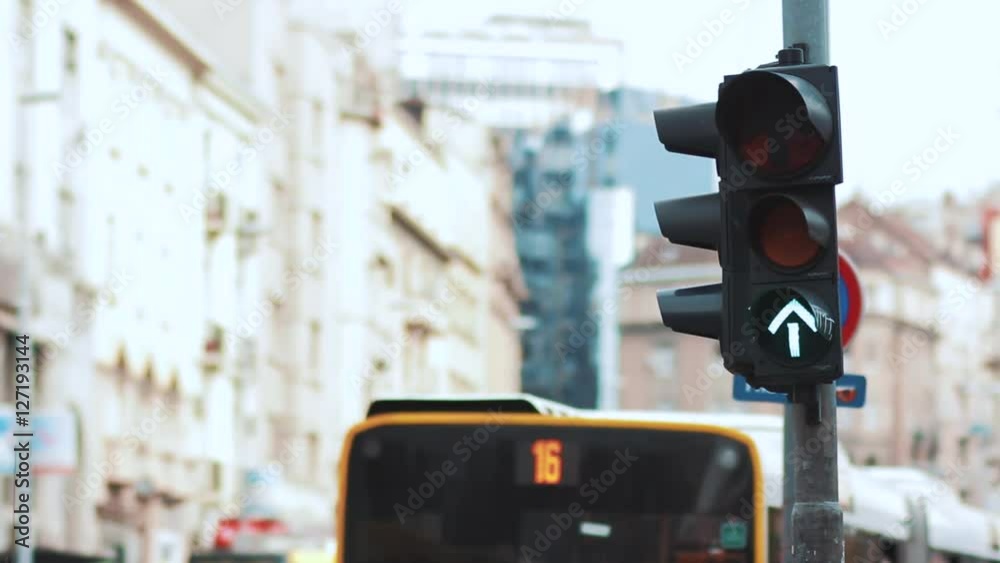traffic light in the central city