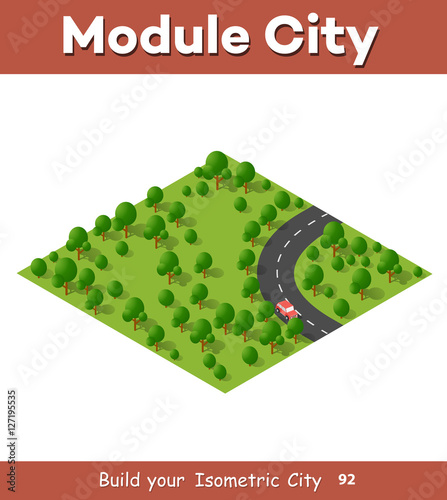 Isometric view projection summer landscape. Nature view of forest with trees