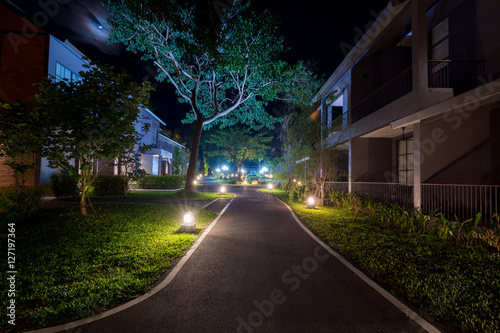 walkway in the night garden