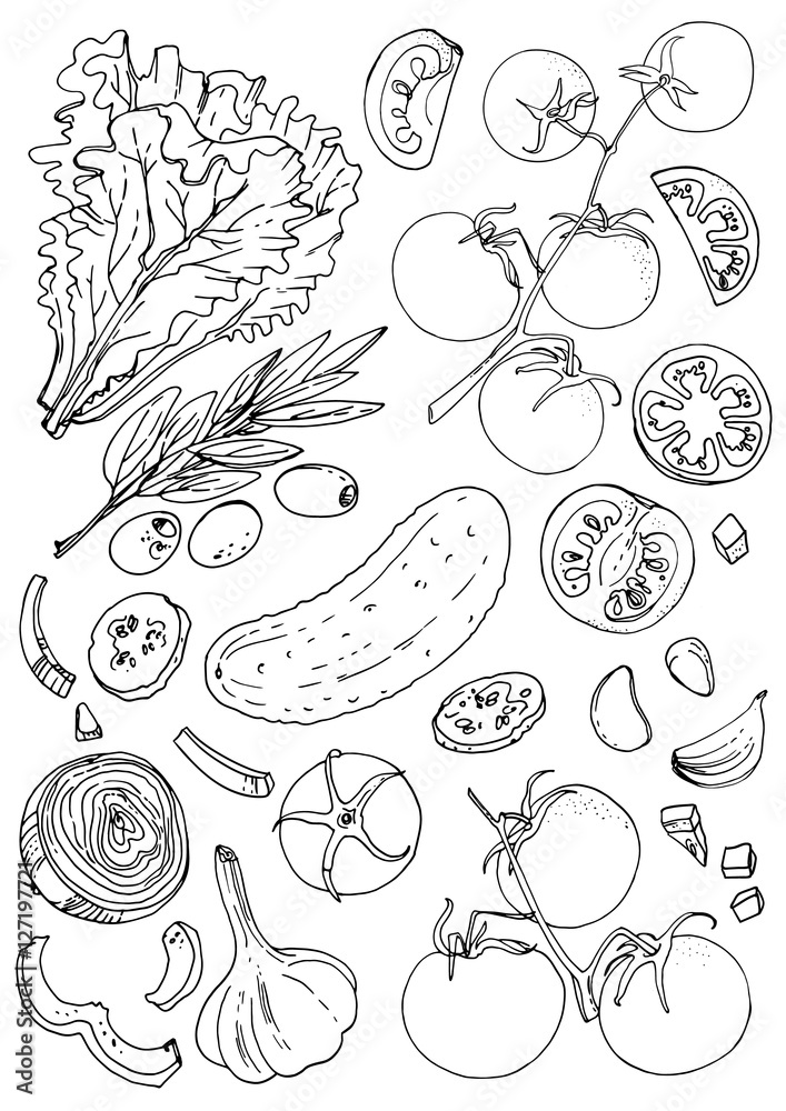 Set of vegetables. Fresh food. Lettuce, tomatoes, cucumber, olives, garlic line drawn on a white background. Vector illustration. Coloring for adults
