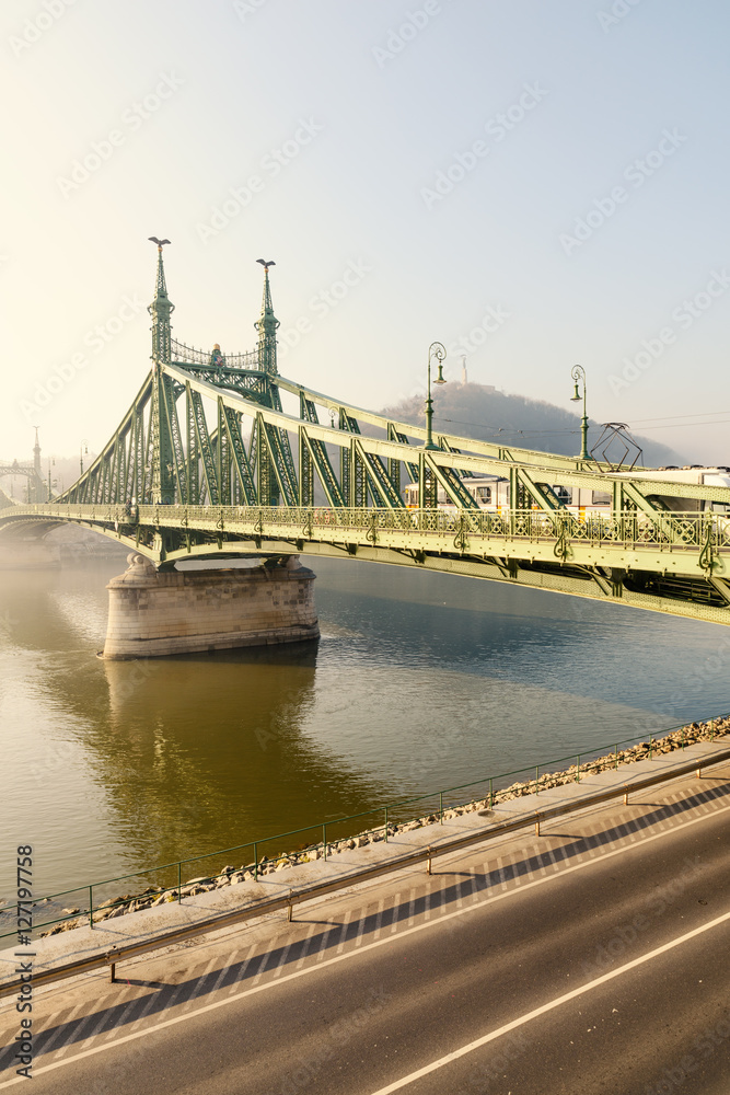Fototapeta premium Liberty bridge in Budapest