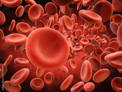 Fotografie red blood cells in vein