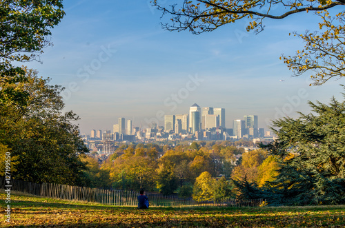 Autumn in Greenwich, 2016