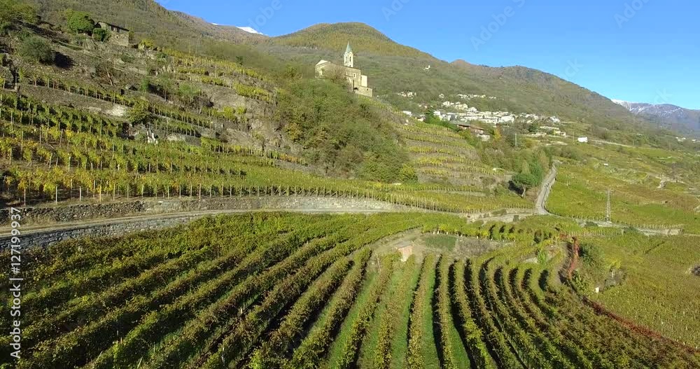 Aerial 4k - Sondrio - Valtellina (IT) - Panoramica dei vigneti del Grumello Aerial 4k - Sondrio - Valtellina (IT) - Panoramica dei vigneti del Grumello