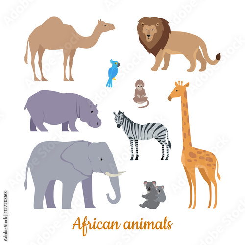 Set of African Animals Flat Design Illustrations 