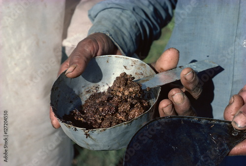 Raw opium, Rajasthan state