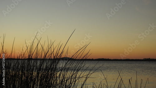 The sunset and the grass in Lami