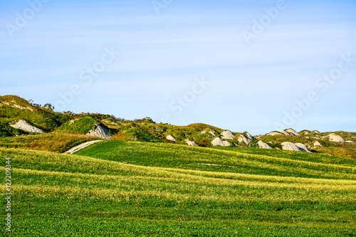 Tuscany, rural landscape in spring. Countryside green field and