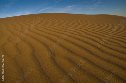 Dune landscape  La Pampa   Argentina